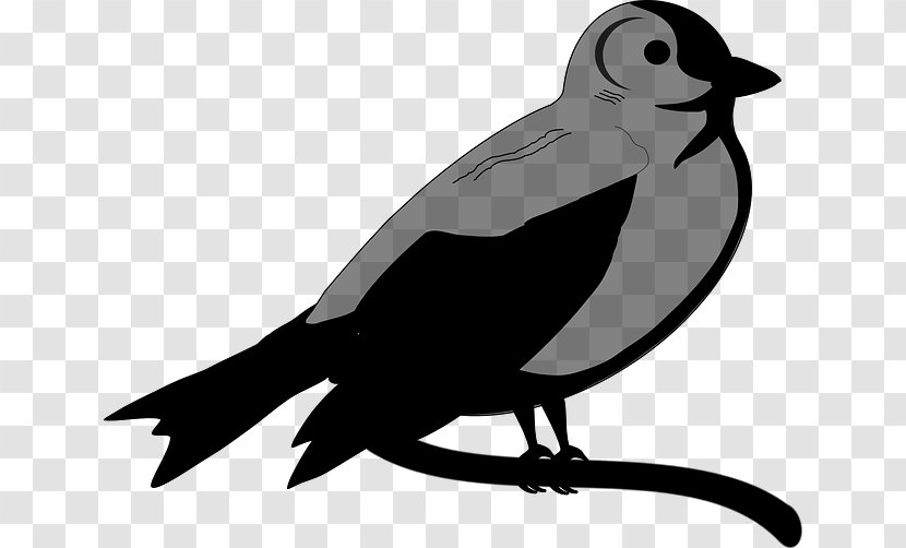 Beak Clip Art American Sparrows Fauna Silhouette - Crowlike Bird - Blackbird Transparent PNG