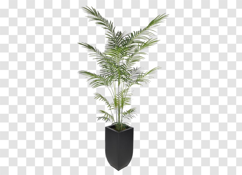 Arecaceae Areca Palm Artificial Flower Dracaena Reflexa Plant - Ornamental Transparent PNG
