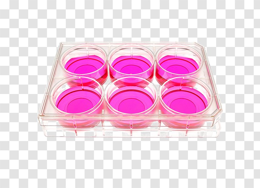 Cell Culture Tissue Glass Cover Slip Plate Transparent PNG
