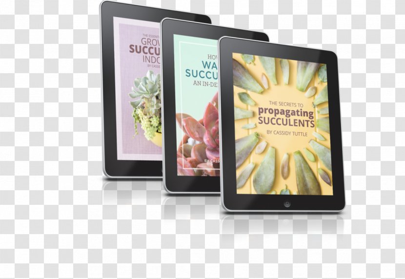 E-book Succulent Plant Tutorial Re:Re: - Multimedia - Suculent Transparent PNG