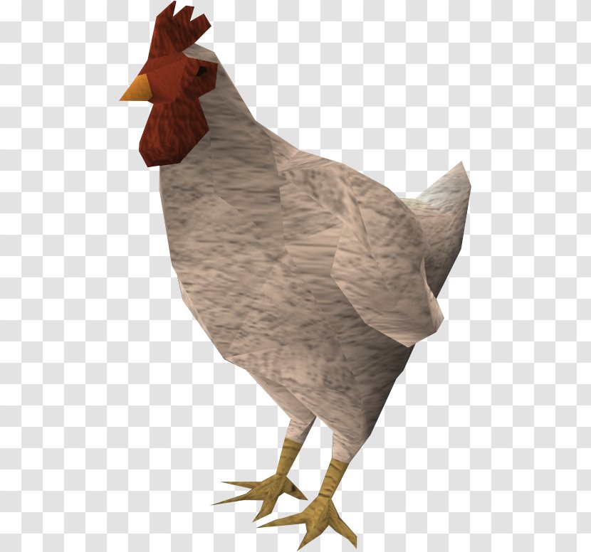 Chicken Cartoon - Poultry - Livestock Transparent PNG