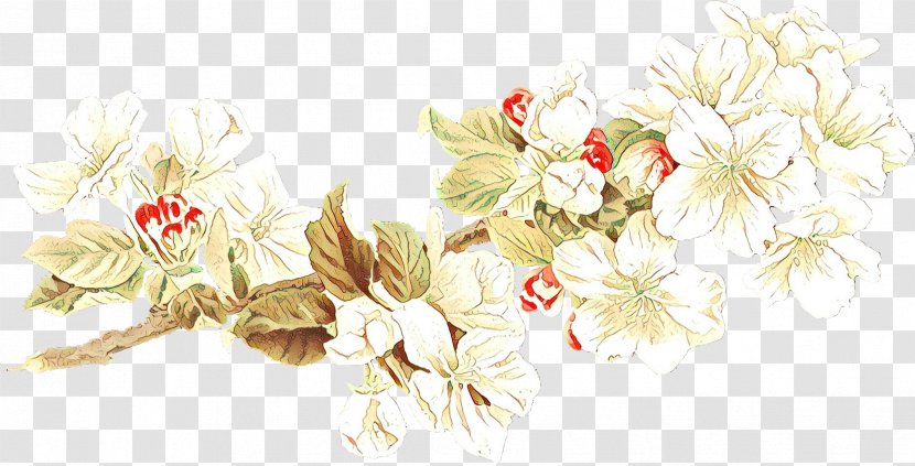 Cherry Blossom Flower - Spring Framework - Twig Transparent PNG