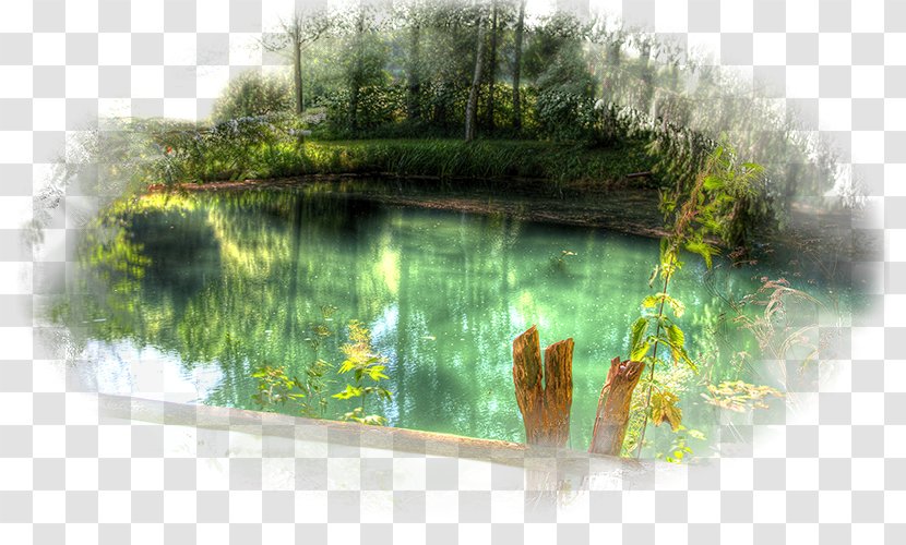 Desktop Wallpaper 1080p Ultra-high-definition Television 4K Resolution - Pond - Wetland Transparent PNG