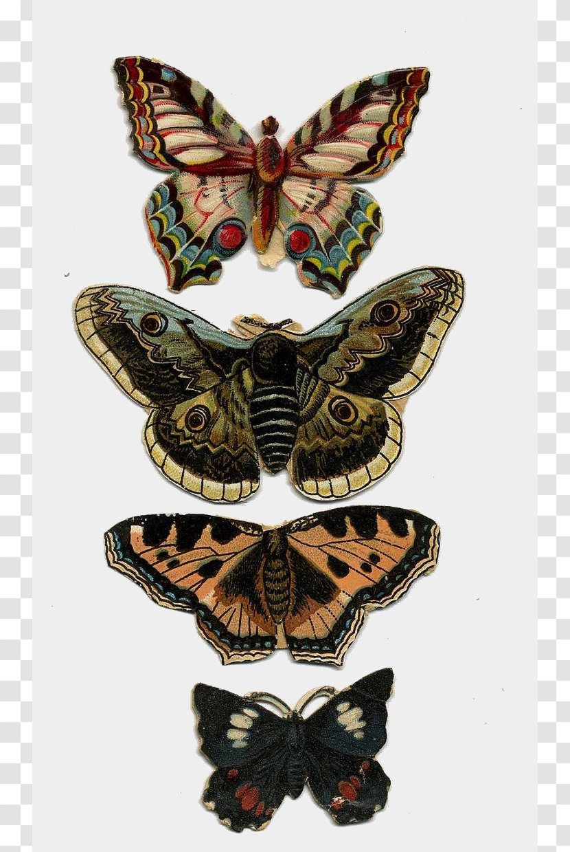 Butterfly Victorian Era Paper Insect Bokmärke - Butterflies And Moths Transparent PNG