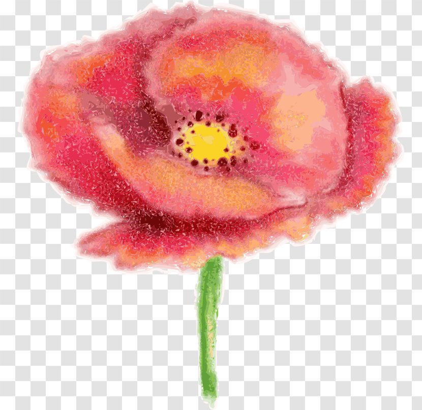 Poppy - Flower - Petal Transparent PNG