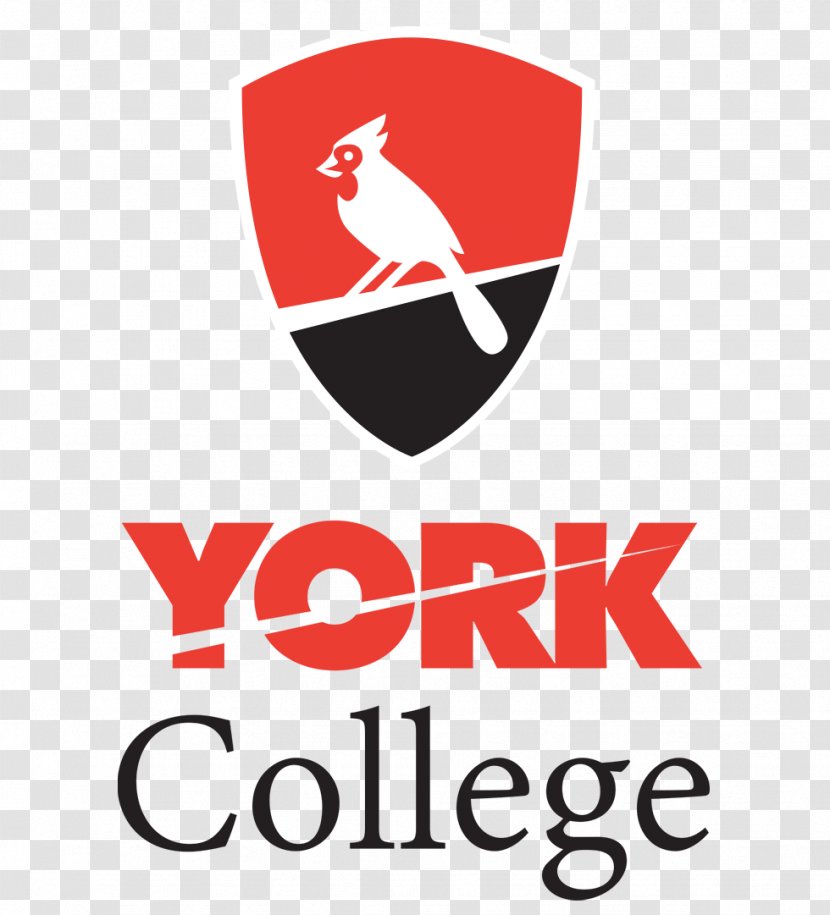 York College, City University Of New San Antonio College Northeast Lakeview Queen Margaret Wellington - Area - Enrolled Transparent PNG