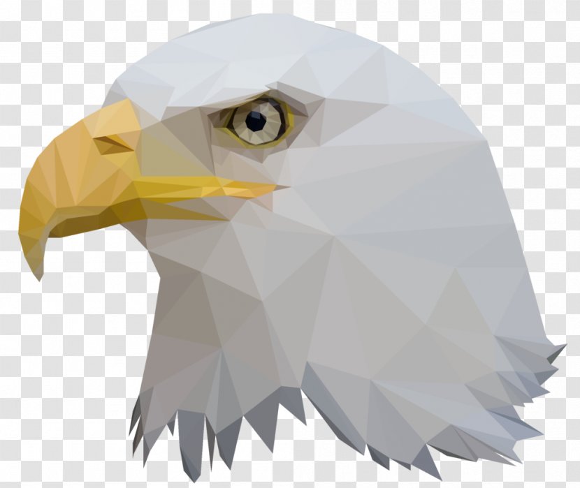 Bald Eagle Bird Low Poly Animal - Digital Art Transparent PNG