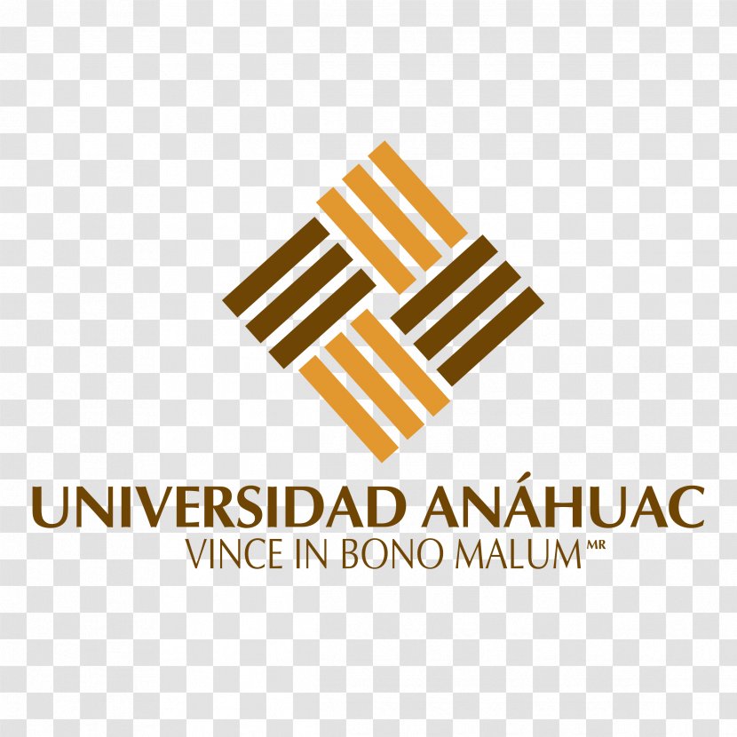 Universidad Anáhuac México Sur Logo Brand - Text - SeÃ±or De Sipan Transparent PNG