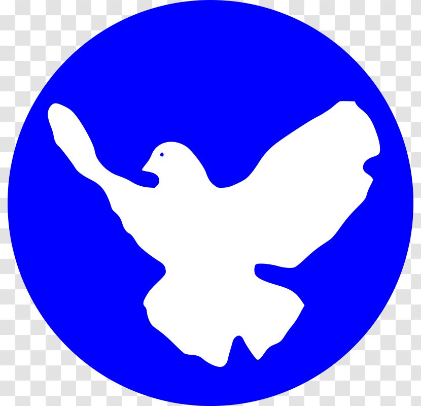 Peace & Justice Center Symbols Doves As Movement - Dove Vector Transparent PNG