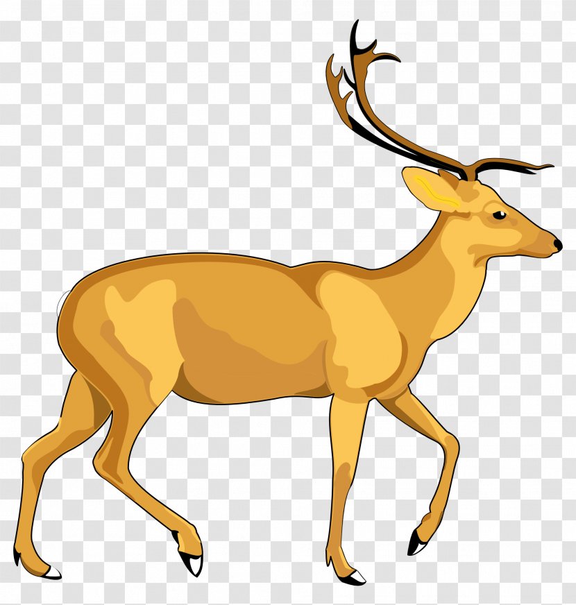 Deer Vector Graphics Clip Art Image - Wildlife - Moose Cartoon Transparent PNG