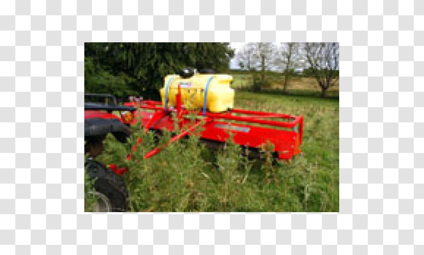 Soil Farm Grasses Tractor Tree - Agriculture Transparent PNG
