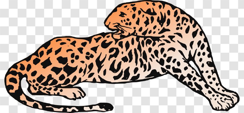 Leopard Cheetah Jaguar Tiger Whiskers - Paw Transparent PNG