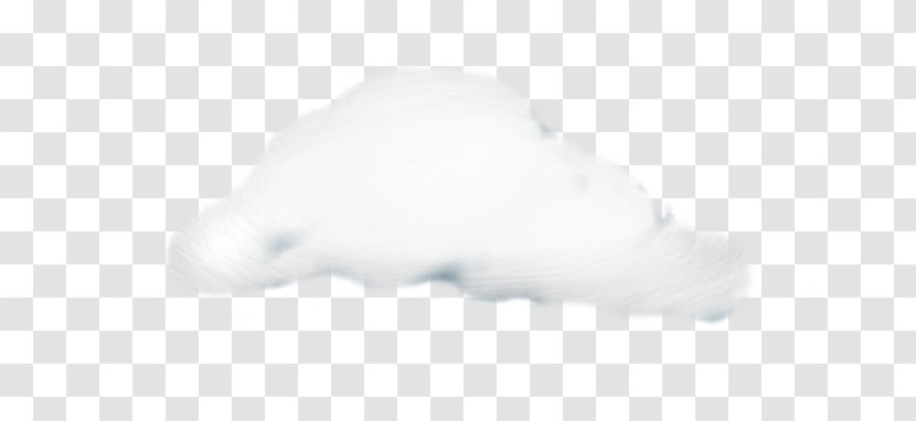 Snout Carnivora - Carnivoran Transparent PNG