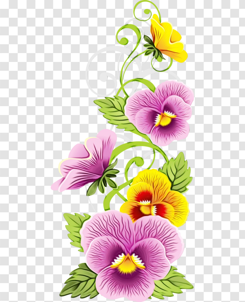 Flower Petal Wild Pansy Plant Violet Transparent PNG