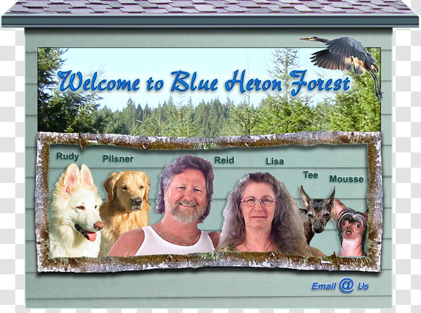 Surname Family Picture Frames Mammal - Animal Transparent PNG