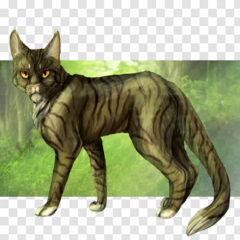 Whiskers Domestic Short-haired Cat Wildcat Character - Organism Transparent PNG