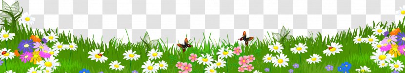 Paper Donkey Book Clip Art - Sky - Flower Grass Cliparts Transparent PNG