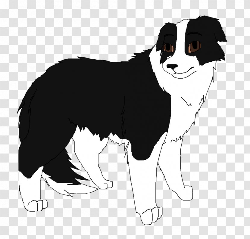 Border Collie Dog Breed Puppy Rough Companion - Traditional Transparent PNG