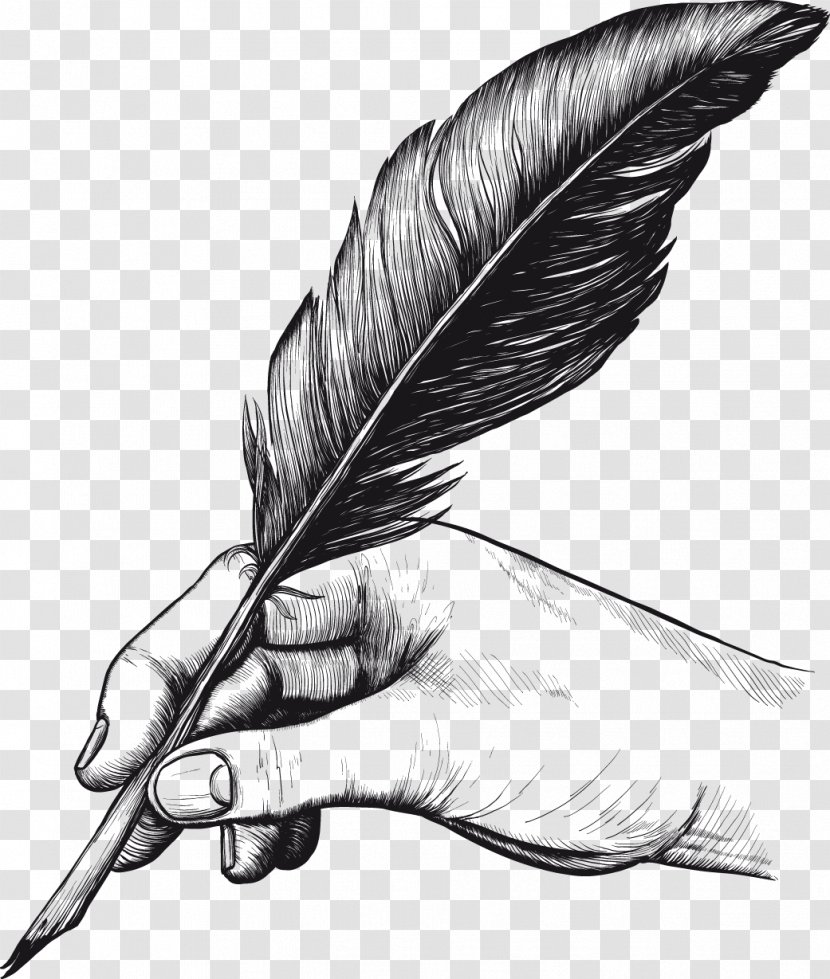 Quill Pens Feather Drawing Clip Art Transparent PNG