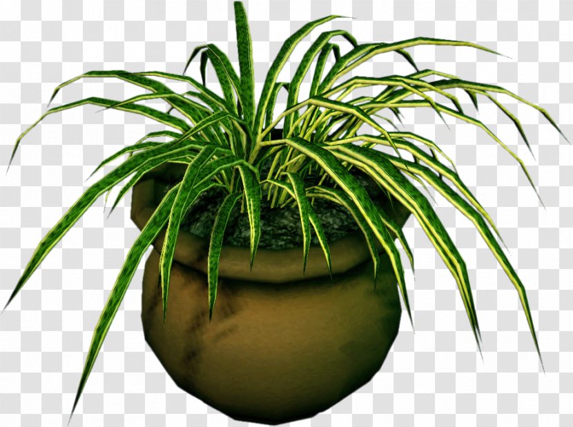 Dead Rising 3 Houseplant Flowerpot - Grass - Potted Plants Transparent PNG