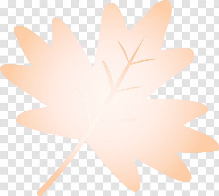 Maple Leaf Transparent PNG