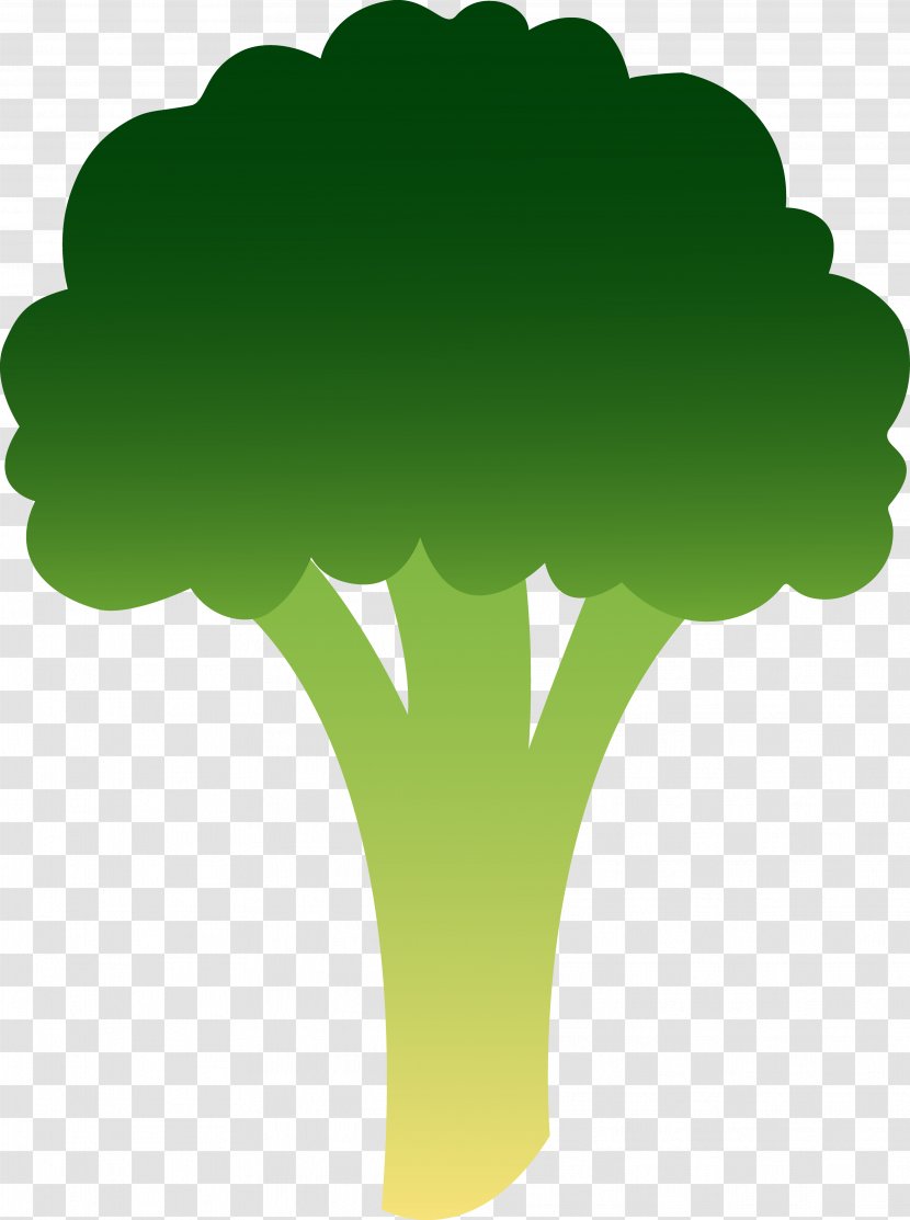 Broccoli Cabbage Leaf Vegetable Clip Art Transparent PNG