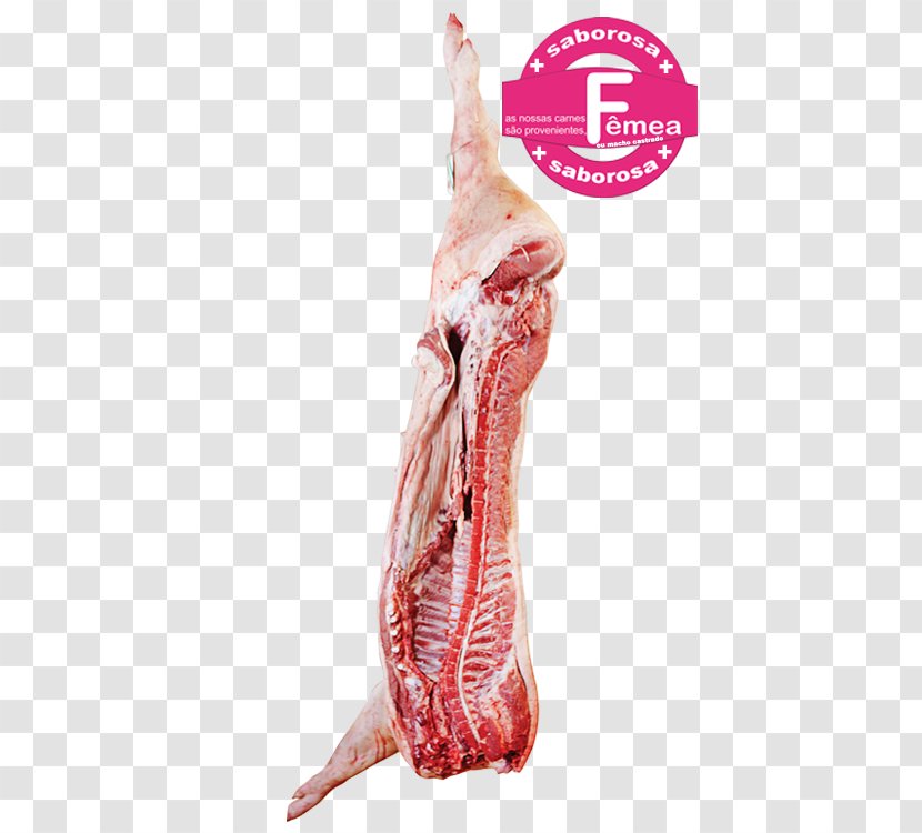 Lamb And Mutton Black Iberian Pig Embutido Ham Pork - Tree Transparent PNG