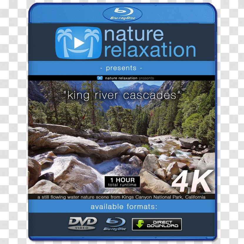 Blu-ray Disc 4K Resolution Ultra-high-definition Television Display 1080p - Watercolor - Nature Scene Transparent PNG