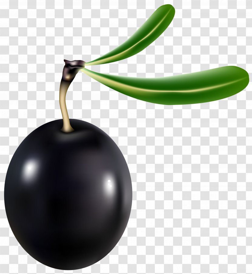 United States Teth Clip Art - Vegetable - Black Olive Transparent Image Transparent PNG