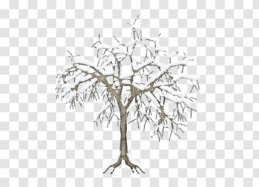 Twig Plant Stem Leaf Line Black - Branch - Baum Transparent PNG