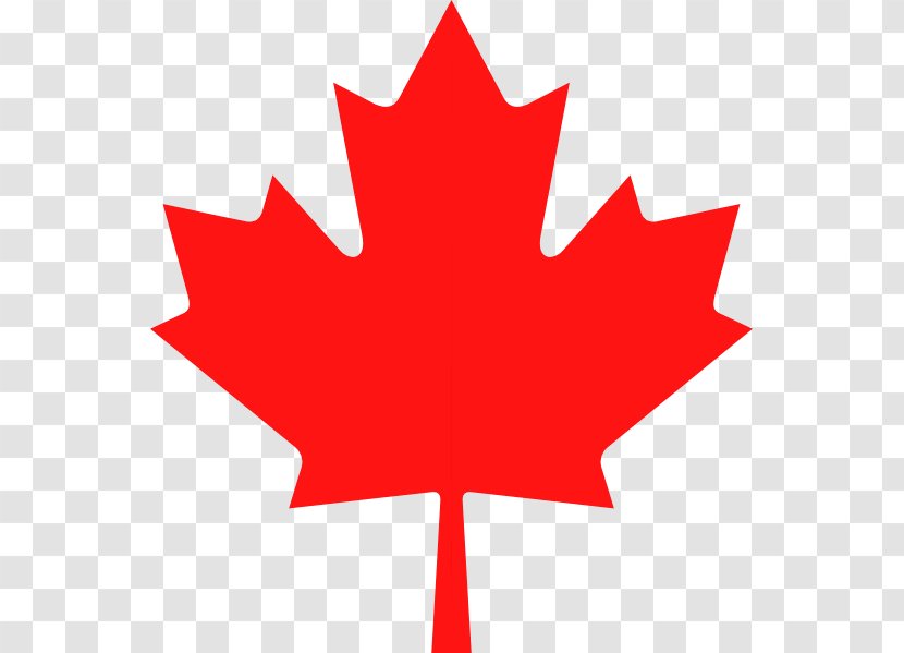 Flag Of Canada Canadian Gold Maple Leaf Stock.xchng - Istock Transparent PNG