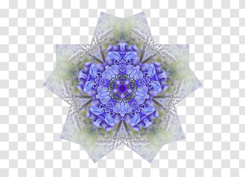 Blue Flower Lavender Lilac Purple - Cut Flowers - Wisteria Transparent PNG