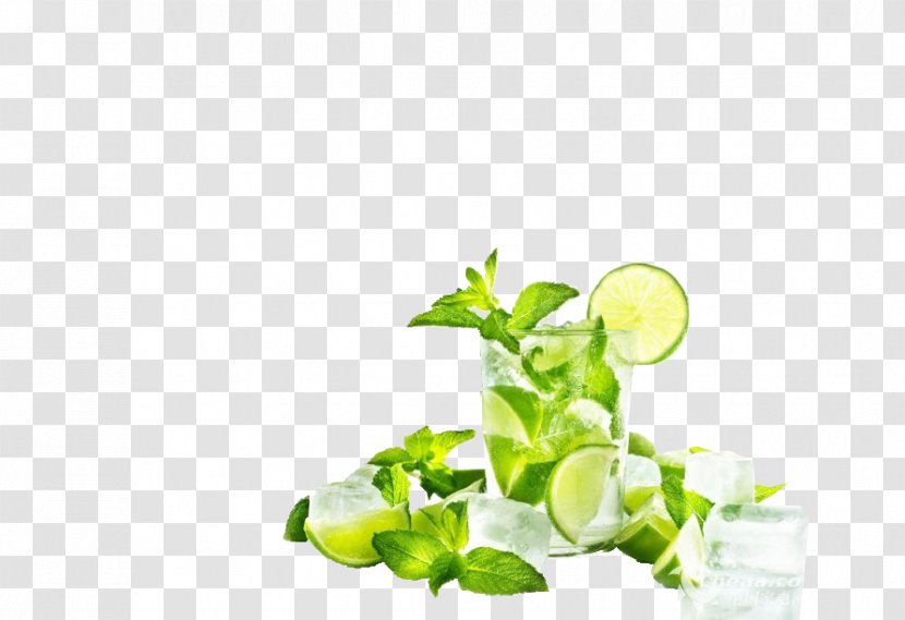 Mojito Juice Cocktail Lemon Squeezer - Drink Mint Leaves Transparent PNG