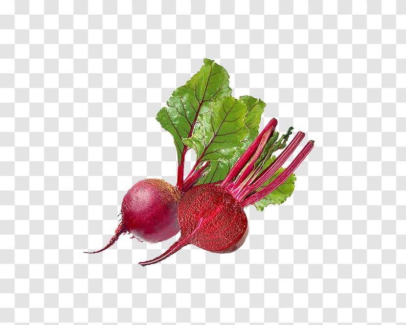 Beetroots Vegetable Vegetarian Cuisine Organic Food - Root - Beetroot Transparent PNG