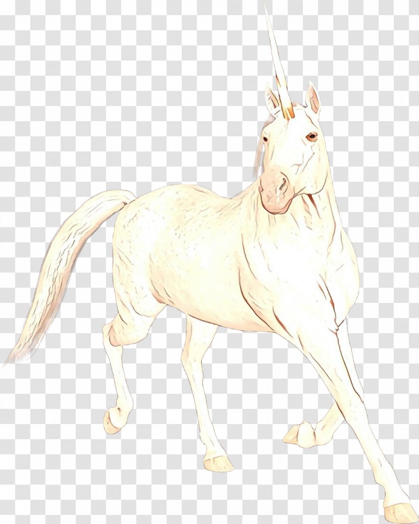 Unicorn Drawing - Tail - Stallion Transparent PNG