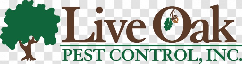 Live Oak Pest Control, Inc. Lawn - Green - Spanish Moss Transparent PNG