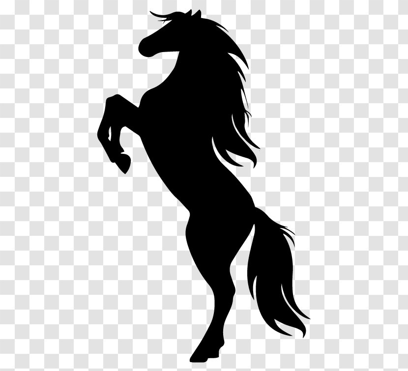 Horse Rearing Silhouette Drawing - Colt Transparent PNG
