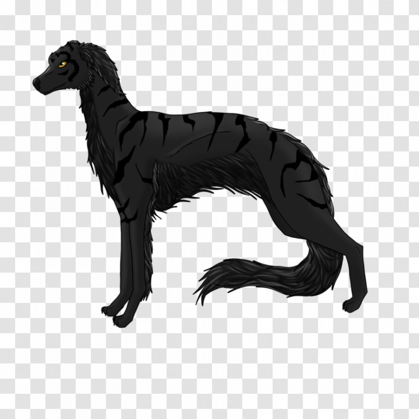 Dog Breed Italian Greyhound - Hounds Of Love Transparent PNG