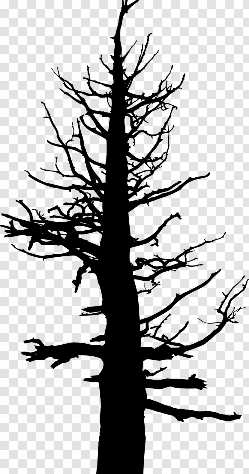 Tree Drawing Silhouette Snag Clip Art - Black And White - Trunk Transparent PNG