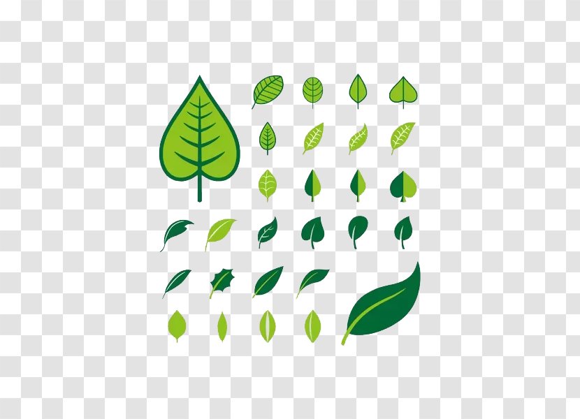 Green Foliage - Organism - Logo Transparent PNG