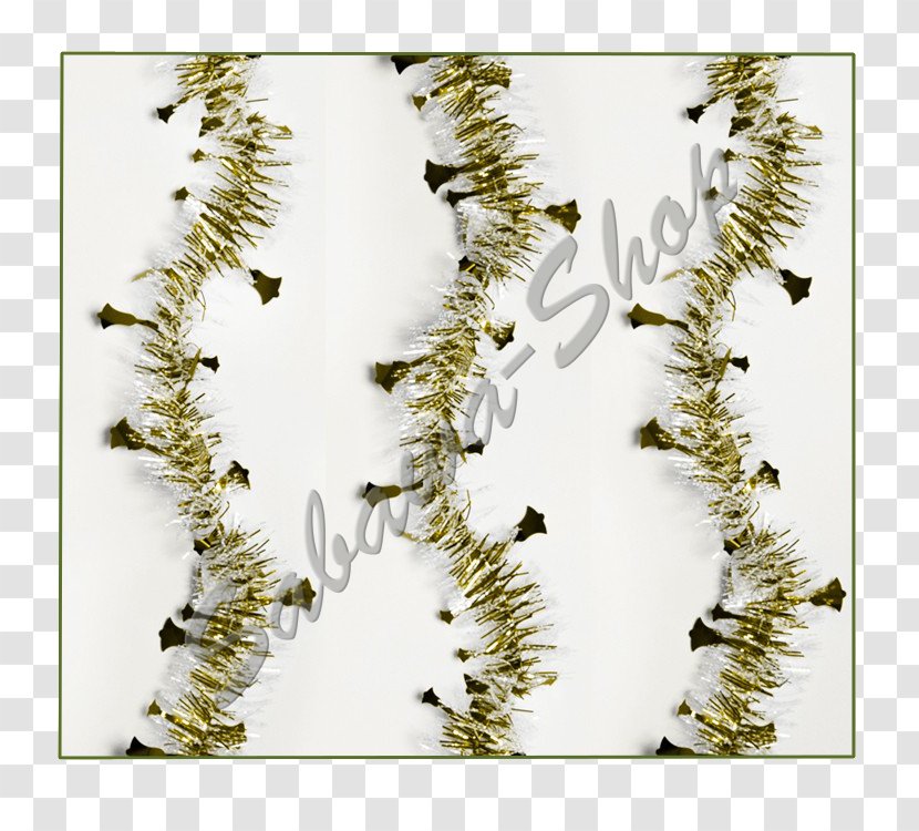 Spruce Fir Face Barack Obama - Golden Pillar Transparent PNG