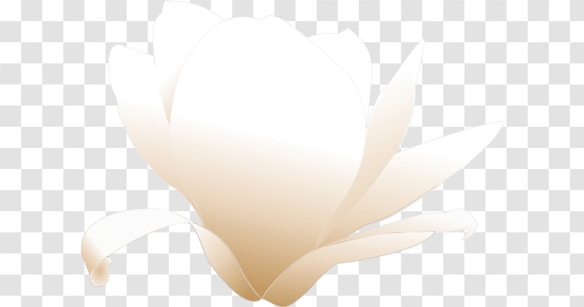 Download Clip Art - Royaltyfree - Magnolia Cliparts Transparent PNG