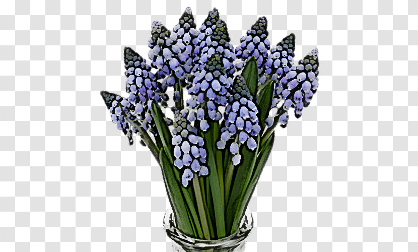 Lavender Transparent PNG