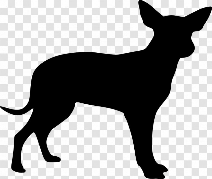 Mexican Hairless Dog Chihuahua Drawing Clip Art - Breed Group - Dogs Vector Transparent PNG