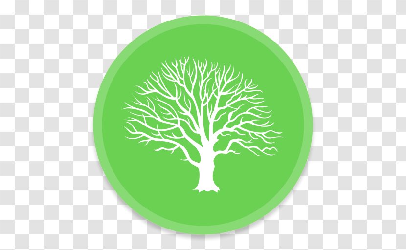 Genealogy Family Tree MacFamilyTree History - Society - Green Logo Transparent PNG