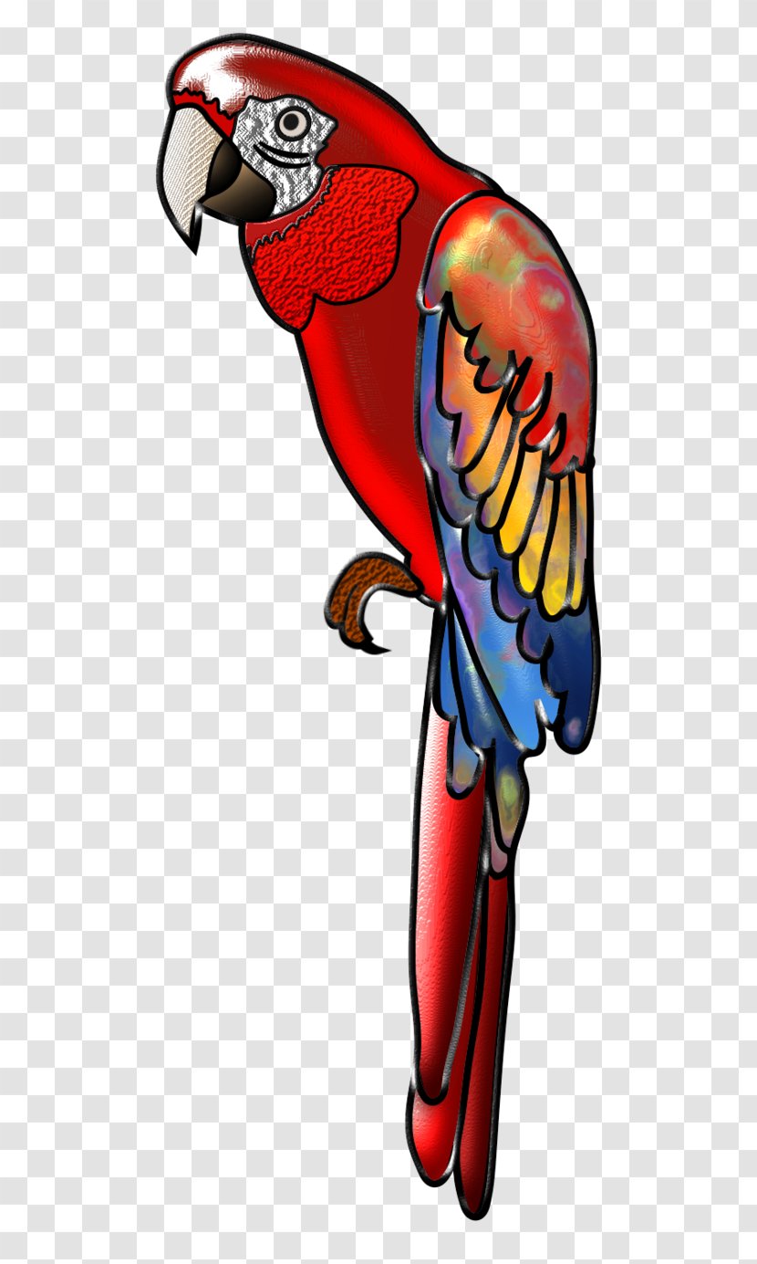 Scarlet Macaw Bird Parrot Beak - Joint Transparent PNG