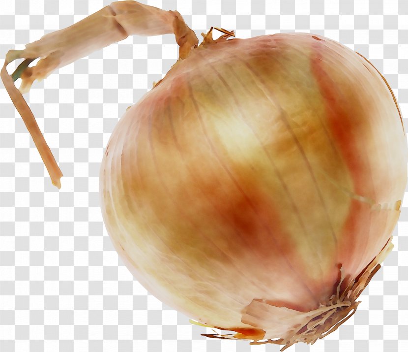 Yellow Onion Shallots Red Transparent PNG
