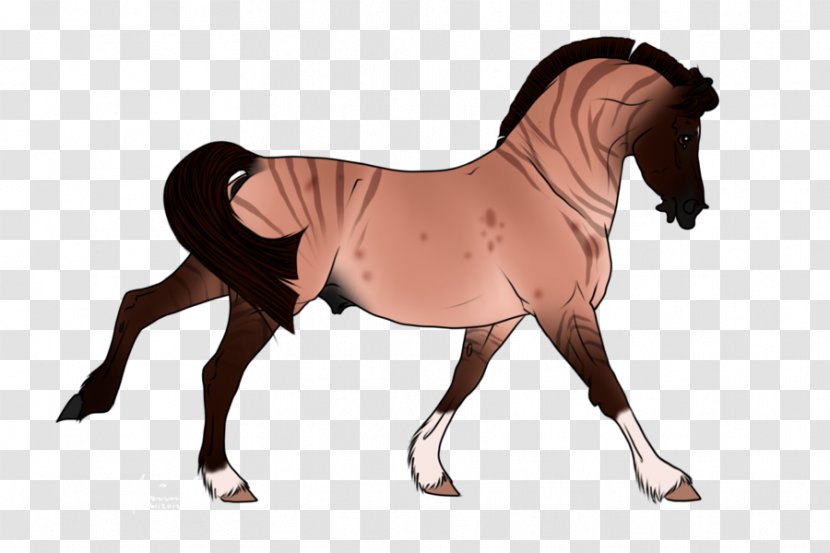 Mustang Stallion Mare Rein Mane - Horse Harnesses Transparent PNG