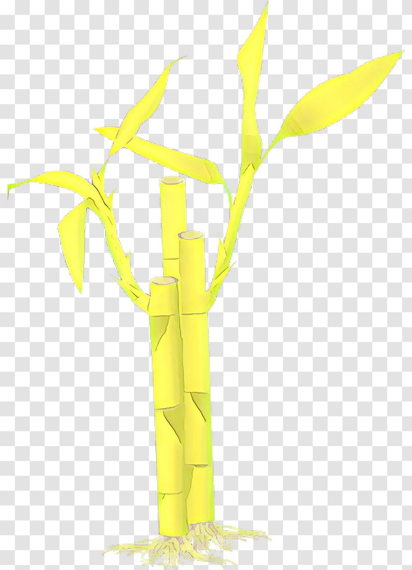 Tropical Tree - Bamboo - Flower Transparent PNG