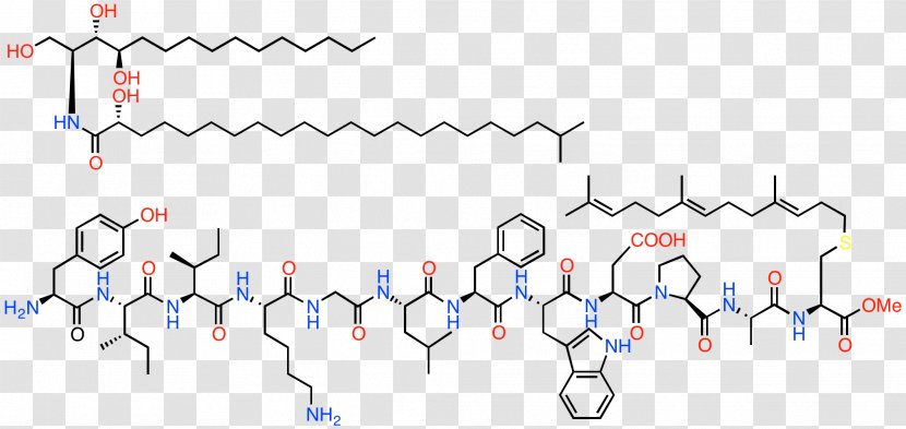 Interfungin Antithrombotic Chemistry Pharmaceutical Drug Ppt - Watercolor - Crabs Transparent PNG